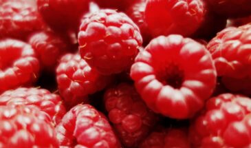 Любимые «соседи» малины: сажаем 3 растения рядом — ягоды вырастают с пятирублёвую монету и сладкие, как в детстве