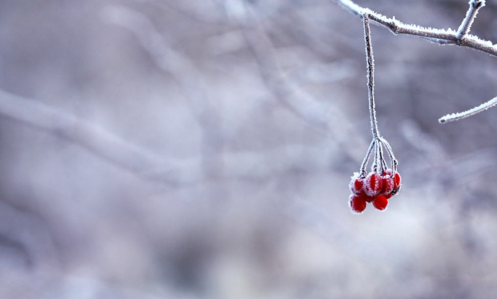 Федосеевы морозы обрушатся 24 января: что нельзя делать в этот день — и к чему готовиться