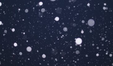 Рождественский сочельник 2026 — как и почему 6 января православные встречают один из самых строгих дней года