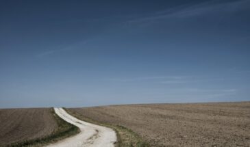 Весной всё сгорит: синоптики предупреждают о погодной аномалии 2026 года — зима бьёт рекорды, а весна приходит в феврале