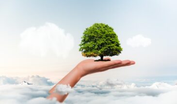 Этими заветными 3 вещами не делится мудрый человек — и вы не должны