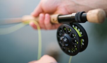 Окунь клюёт каждые 5 минут: секрет прикормки, о котором молчат опытные рыбаки