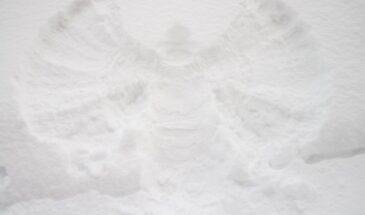 Как понять, что Ангел-Хранитель рядом: 11 знаков, которые трудно не заметить