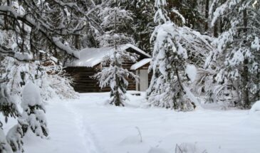 26 января — день Иринарха Затворника: что нельзя делать, чтобы не «пропасть в бездне греховной»