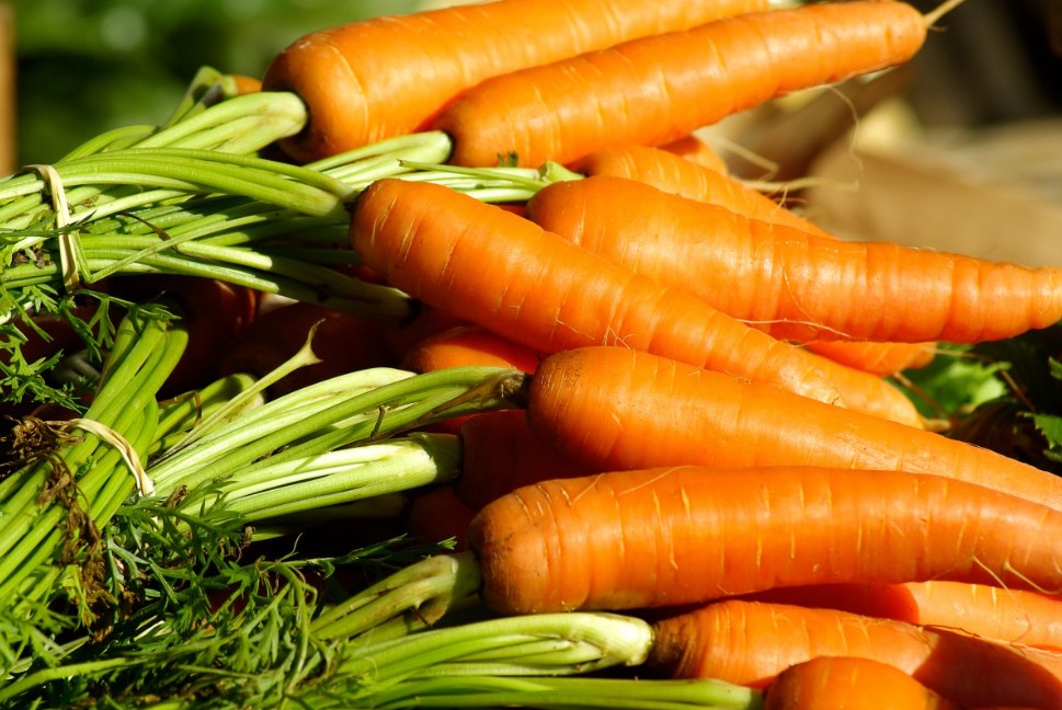 Самые сладкие сорта моркови для соков, десертов и свежих блюд