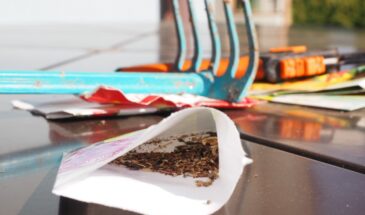 Этот способ посева зимой знают лишь опытные садоводы — но эффект поражает даже новичков