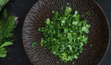 Покупаете зелень и выбрасываете половину? Ресторанный секрет сохранит её свежей до трёх недель