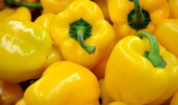 Сладкий перец на Урале и в Сибири — не миф! Эти сорта и гибриды дают урожай даже в прохладное лето