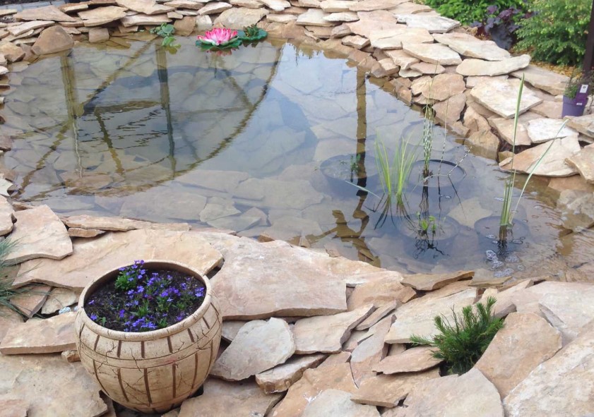 Мутный пруд и запах тины? Вот как очистить воду на даче без хлора и вреда для природы