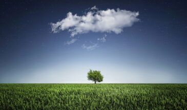 Омар Хайям 900 лет назад раскрыл, от кого надо бежать — иначе жизнь пролетит мимо! Главный признак токсичного человека