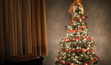 Когда убирать ёлку, чтобы не «вынести счастье»? Приметы, здравый смысл и что делать с хвоей — всё, что нужно знать в январе