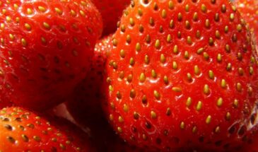 Подкладываю под клубнику газеты — и ягоды чистые даже после ливня! Урожай стал в 5 раз чище, а мытьё — в 3 раза быстрее