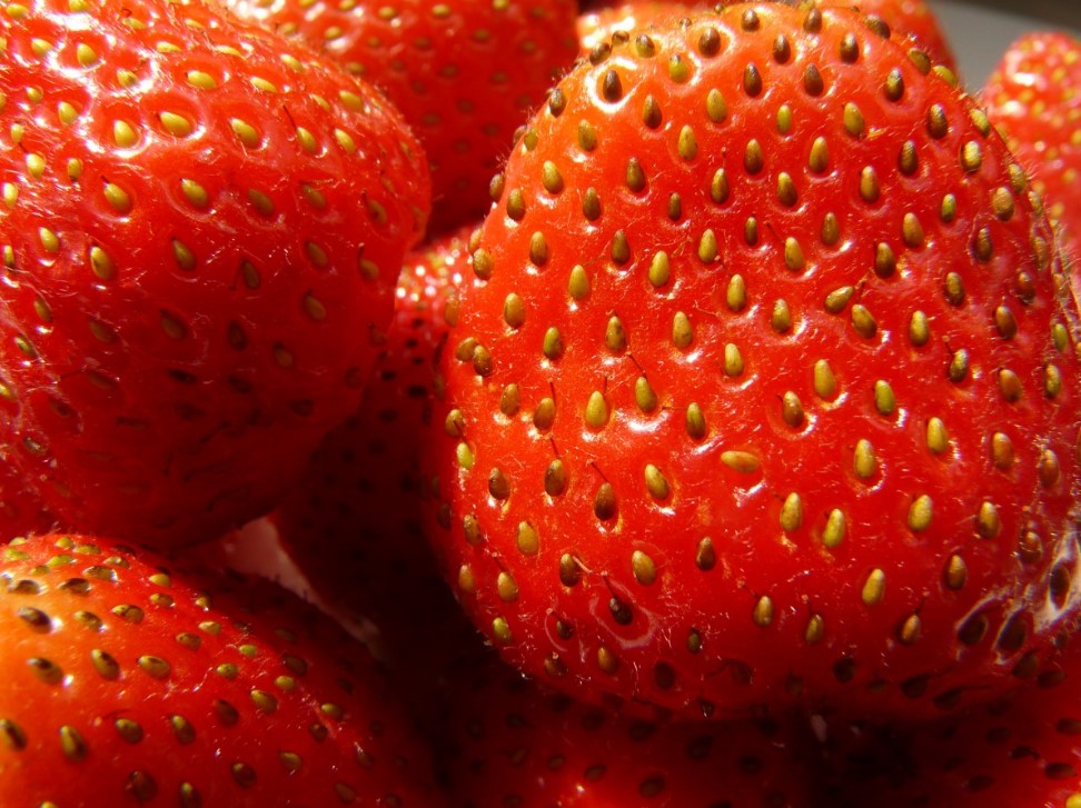 Подкладываю под клубнику газеты — и ягоды чистые даже после ливня! Урожай стал в 5 раз чище, а мытьё — в 3 раза быстрее