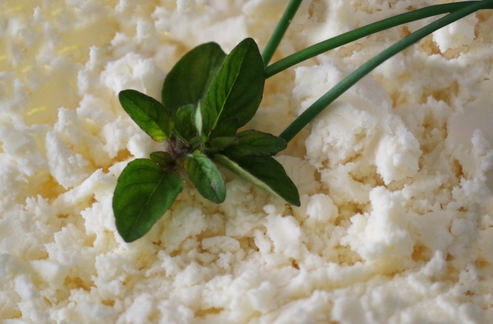 16 января — ставьте на стол творог! Что будет, если нарушить старинный обычай этого дня