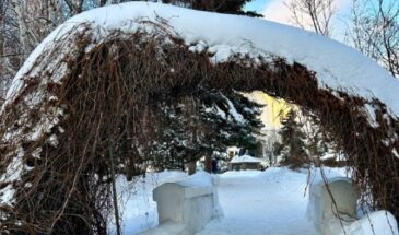 Не дайте снегу сломать ваши деревья — срочно стряхните шапки с ниваки и штамбов