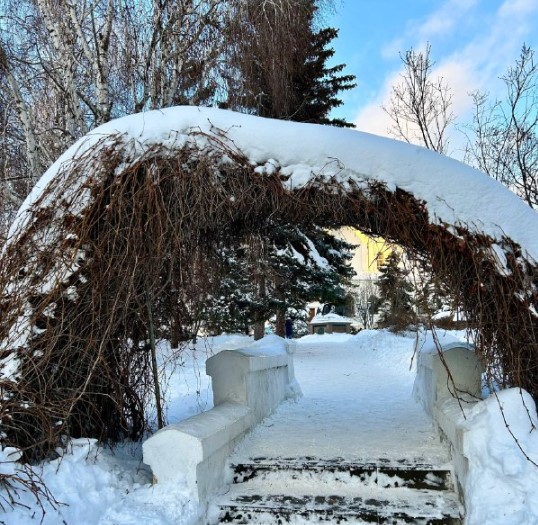 Не дайте снегу сломать ваши деревья — срочно стряхните шапки с ниваки и штамбов