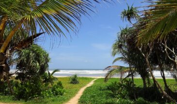 Тепло в феврале: три страны, где +30°C и цены радуют — улететь можно даже без огромного бюджета
