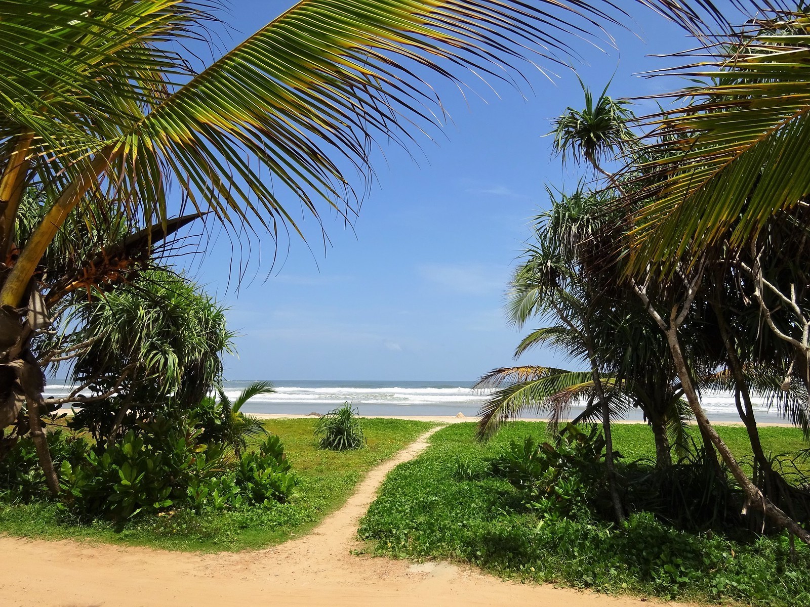 Тепло в феврале: три страны, где +30°C и цены радуют — улететь можно даже без огромного бюджета