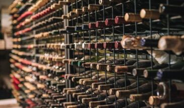 Мир сошел с ума: человечество стало меньше бухать. Что случилось с людьми?