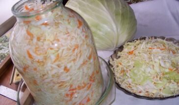 Зелёная сердцевина — главный враг квашения в феврале. Как не ошибиться с кочаном