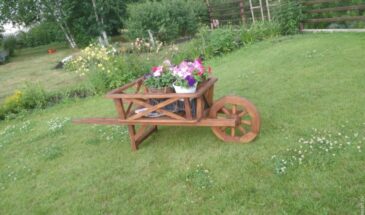 Дачникам на заметку: с 1 марта в России меняются правила использования участков — кто может потерять землю и как избежать проблем