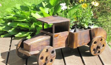 Лунный календарь 2026: эти 4 дня в феврале решат урожай на весь год — сажайте только тогда