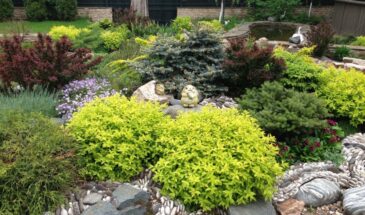 Альпийская горка своими руками: с чего начать, чтобы получилось красиво и без лишних трат