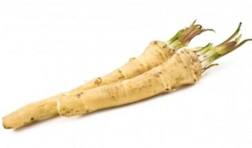 Этот жгучий корень спасает от отёков, давления и целлюлита: почему хрен должен быть на вашем столе каждый день