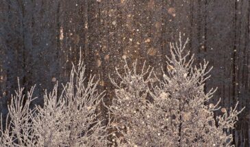 7 февраля: что стоит знать о дне памяти Григория Богослова и народных приметах