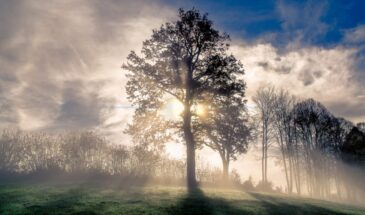 Этой удивительной чертой характера наделены только истинно умные люди