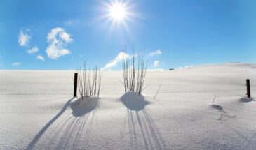 Макар Весноуказчик не обманет: что покажет погода 1 февраля — раннюю оттепель или лютые морозы до марта