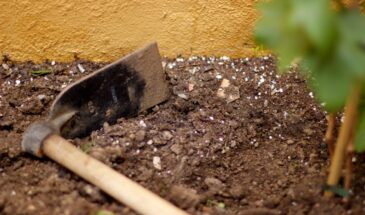 Не выбрасывайте это! 5 продуктов, которые превратят ваш сад в цветущий рай