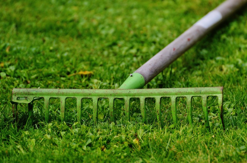 Лунный календарь для дачи: работает или это миф? Ответ, который удивит даже опытных огородников