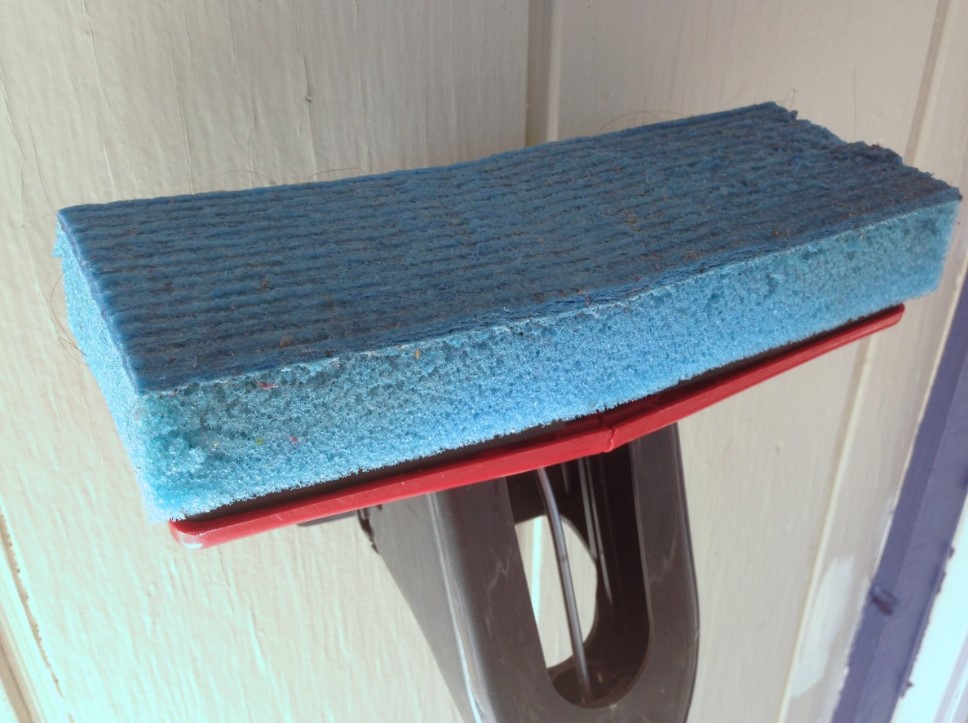 «Пахнет неделю!»: чем мыть полы, чтобы запах свежести не улетучился за час — лайфхак за копейки