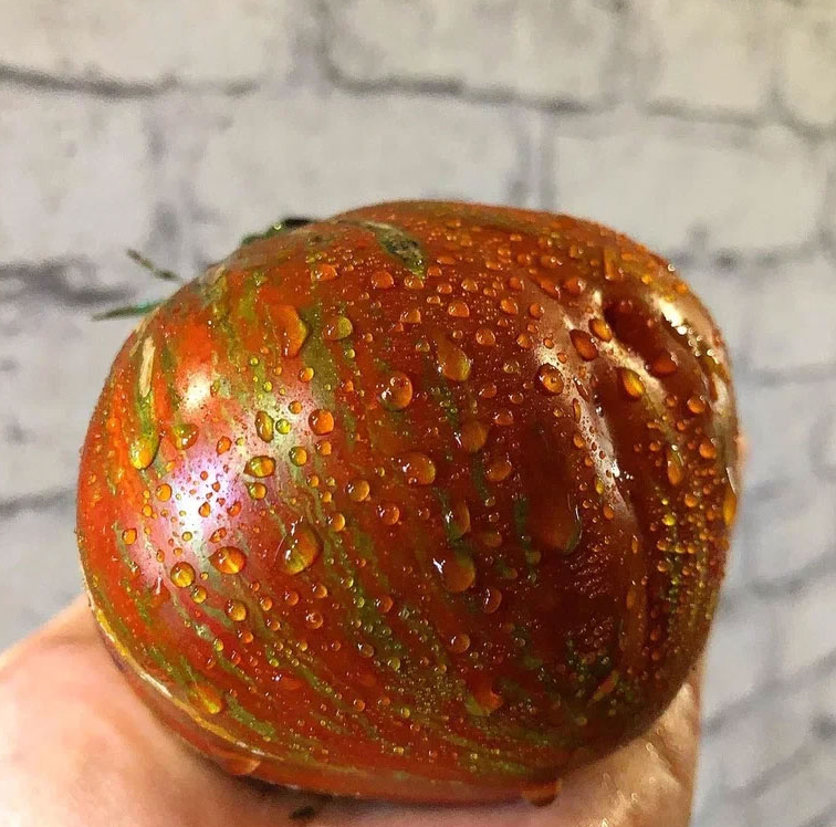 «Бычье сердце уходит в прошлое!»: три томата-гиганта, которые дают по полкило мясистых плодов без лишней воды