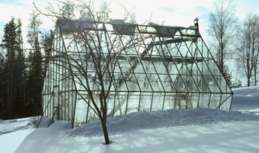 Снег в теплице — не глупость, а гениальная стратегия? Что происходит с почвой к апрелю