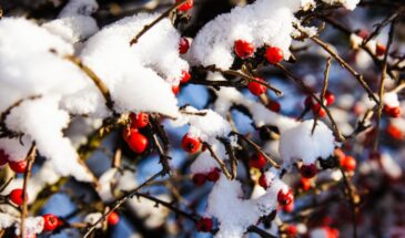 Тимофей Полузимник: 3 запрета 4 февраля, которые спасут ваш кошелек до конца года