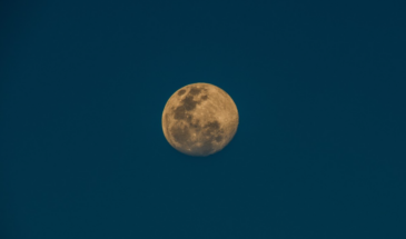 5 февраля — Луна в Деве: почему сегодня нельзя сажать цветы и что делать вместо этого для урожая