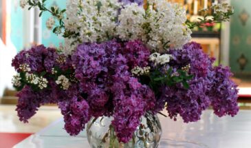 Положите это в вазу — и букет продержится 2 недели вместо трёх дней