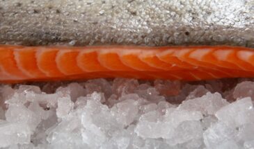 Красную рыбу с этим цветом лучше не брать: один визуальный признак, который выдаёт фермерский продукт