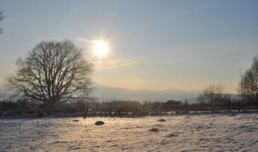 7 февраля — день Григория Богослова: как погода укажет путь к весне