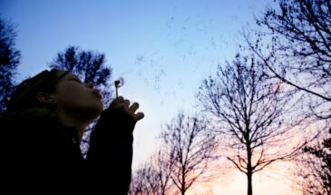 Как разлюбить за 24 часа: техника, которую мудрые женщины не рассказывают вслух