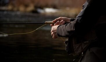 Лёд коварен, но улов реален: 5 наживок, которые заставят рыбу клевать в последний февральский день