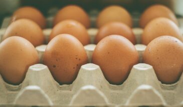 Холодильник убивает ваши продукты: 7 ошибок хранения, из-за которых еда портится в 2 раза быстрее