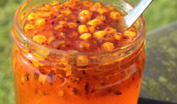 Эту ягоду брали в космос: почему облепиха сильнее аптечки и как есть её без морщины