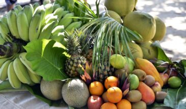 Фрукты на десерт — главная ошибка после обеда: что происходит в желудке и почему вы чувствуете тяжесть уже через 20 минут