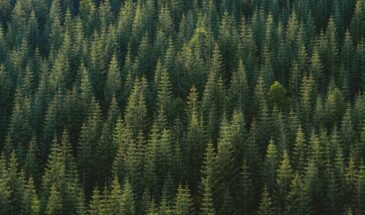 13 февраля нельзя выходить из дома после заката: древнее поверье, которое до сих пор пугает старожилов деревень