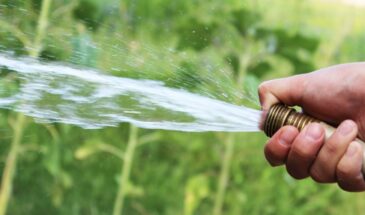 Сколько воды на самом деле нужно овощам: простая памятка для дачника