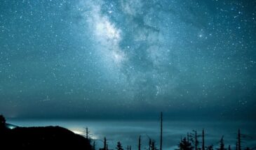 После 13 февраля 2026 года: чьи мечты начнут сбываться первыми — друидический гороскоп на редкое небесное событие