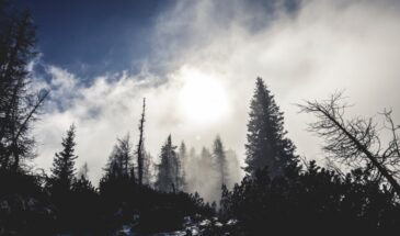 14 февраля — день памяти святого Трифона: что известно о целителе, изгнавшем бесов